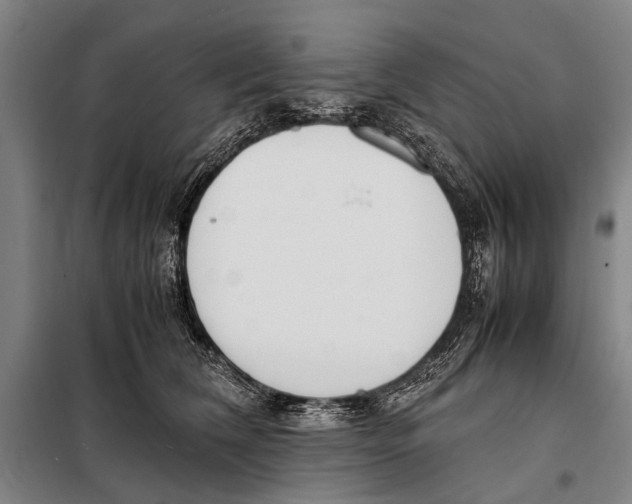 X0000097980612200804211039