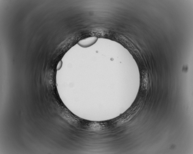 X0000097980616200804211039