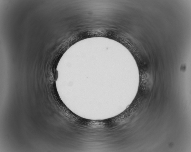 X0000097980617200804211039