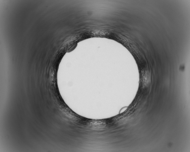 X0000097980619200804211039