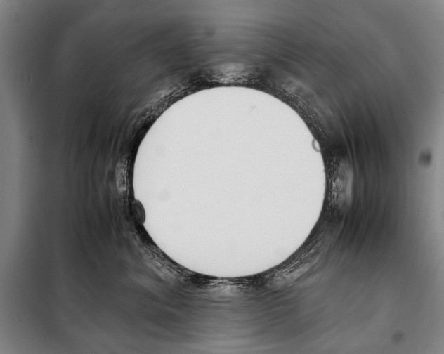 X0000097980620200804211039