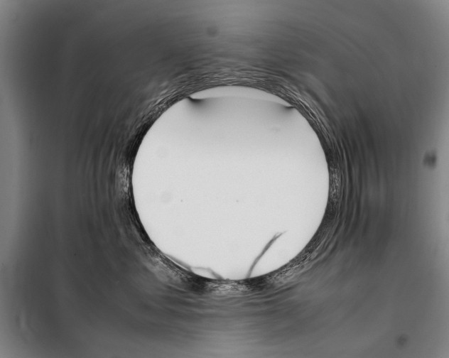 X0000097980621200804211039