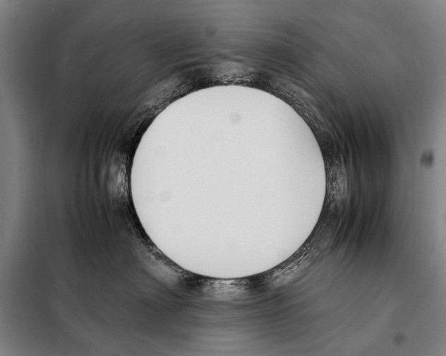 X0000097980622200804211039