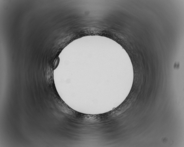 X0000097980624200804211039