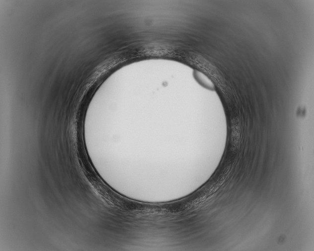 X0000097980626200804211038