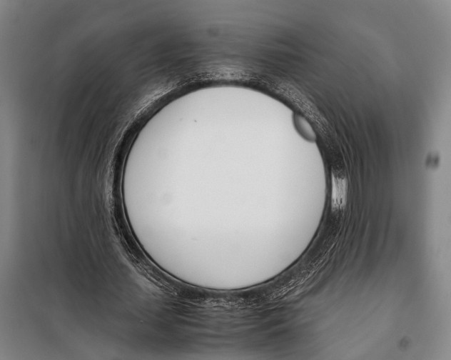 X0000097980627200804211038