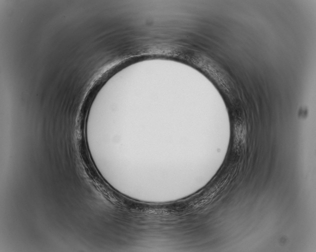 X0000097980628200804211038