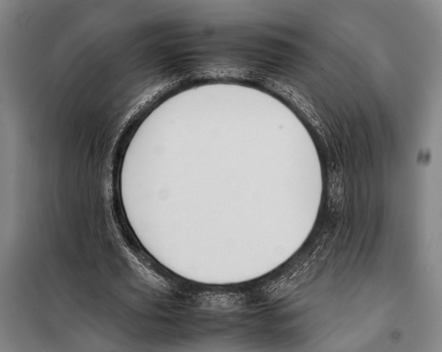 X0000097980629200804211038