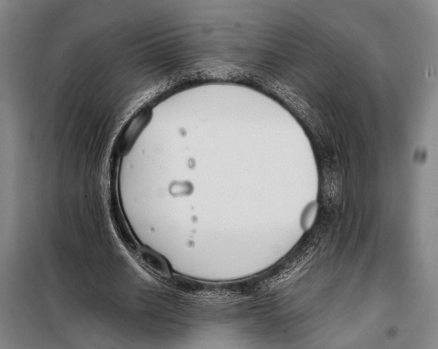 X0000097980630200804211038