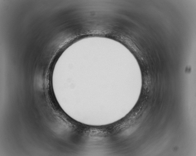 X0000097980632200804211038