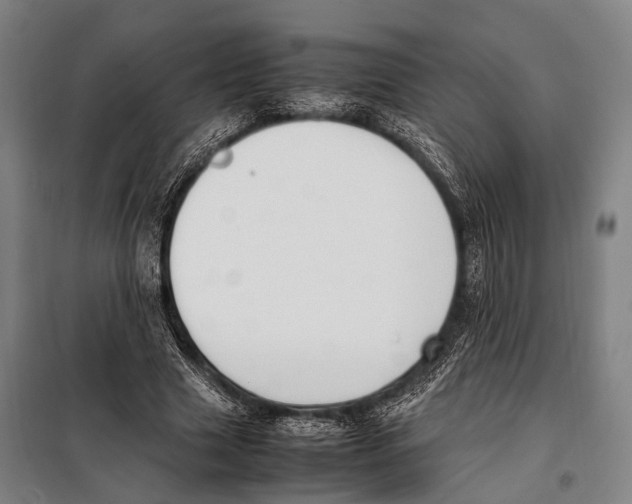 X0000097980633200804211038