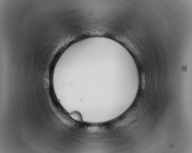 X0000097980634200804211038