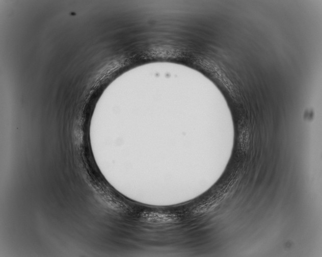 X0000097980635200804211038