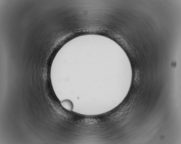 X0000097980636200804211038