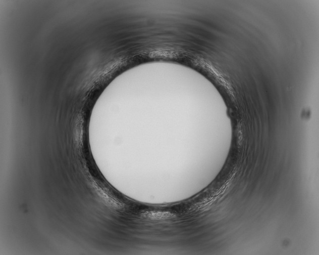 X0000097980637200804211038