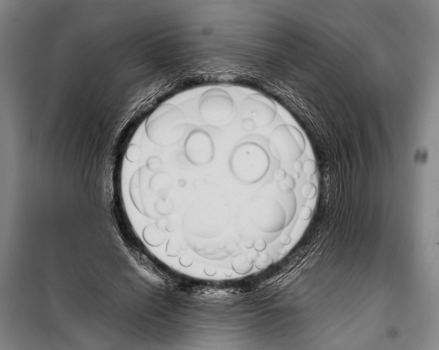 X0000097980638200804211039