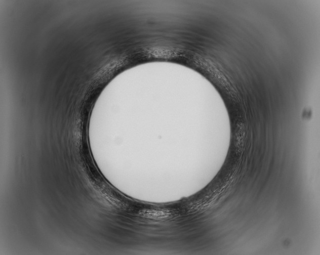 X0000097980639200804211039