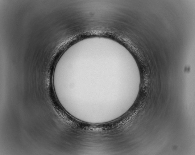 X0000097980640200804211039