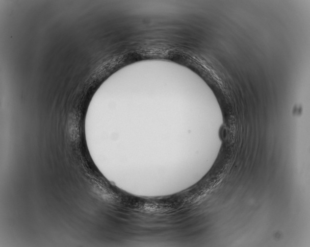 X0000097980641200804211039