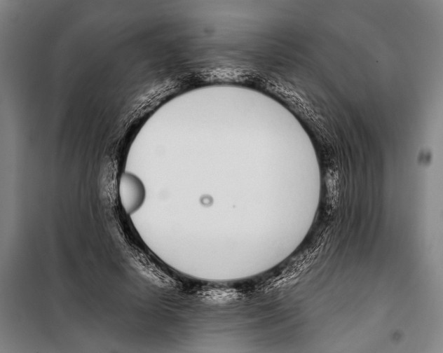 X0000097980642200804211039