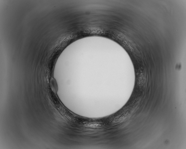 X0000097980643200804211039