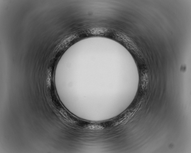 X0000097980644200804211039