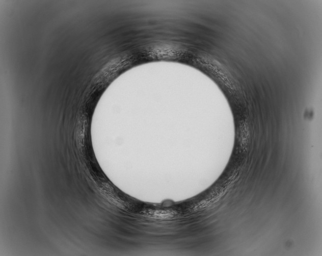 X0000097980645200804211039