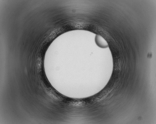 X0000097980646200804211039