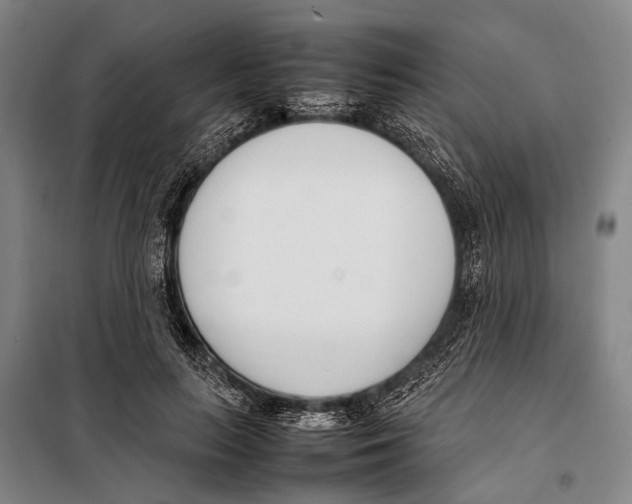 X0000097980647200804211039