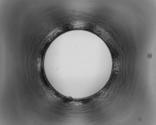 X0000097980648200804211039