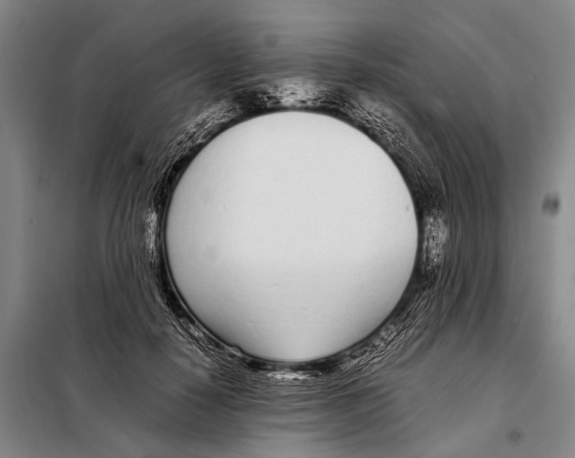 X0000097980650200804211039