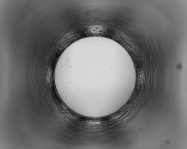 X0000097980651200804211039