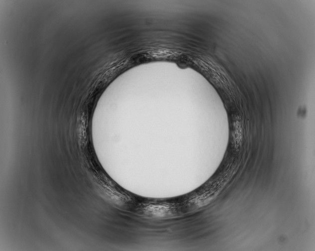 X0000097980653200804211039