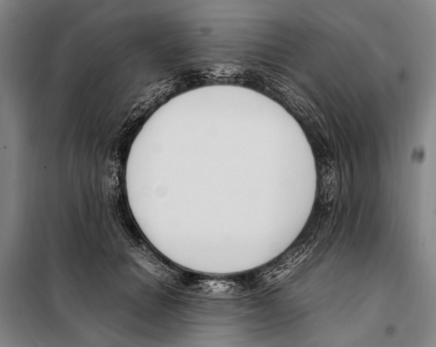 X0000097980654200804211039