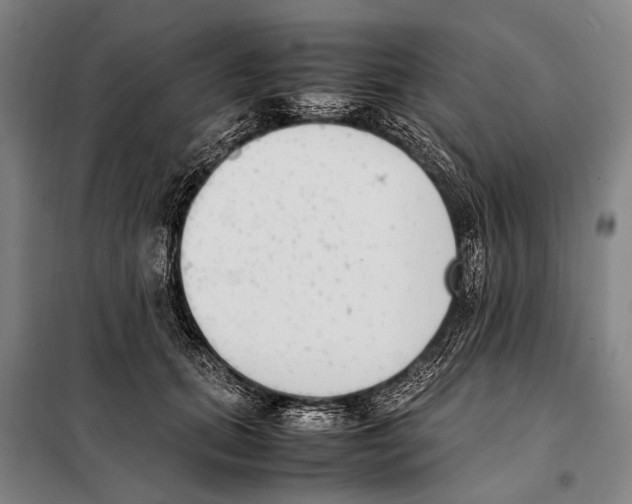 X0000097980655200804211039