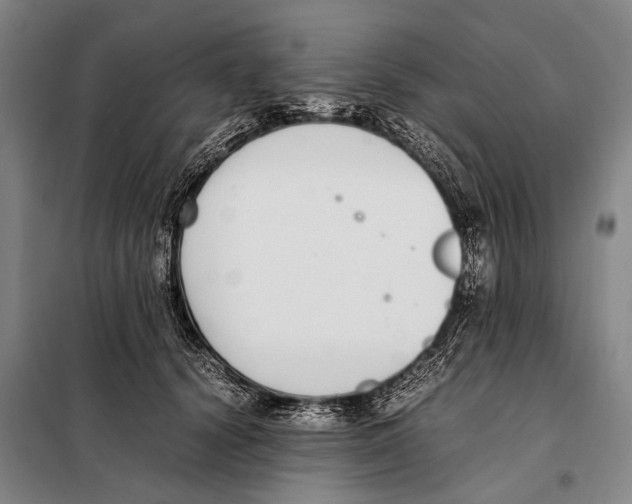 X0000097980656200804211039