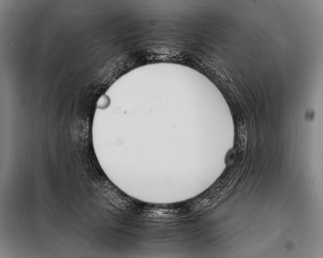 X0000097980657200804211039