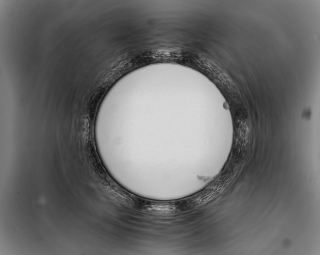 X0000097980659200804211039