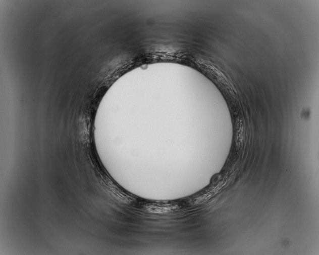 X0000097980661200804211039