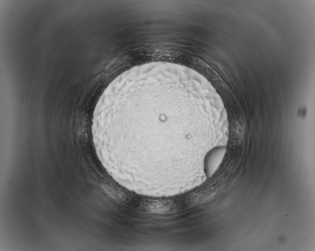 X0000097980663200804211039