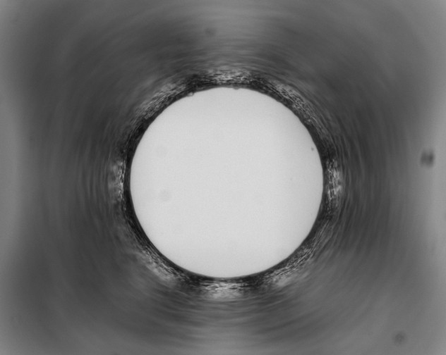 X0000097980664200804211039