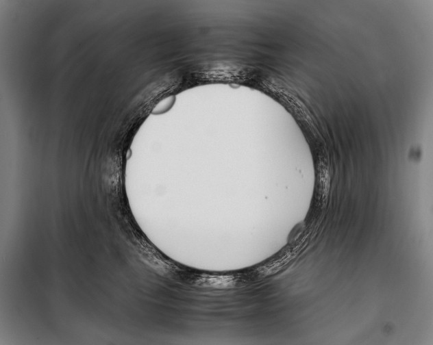 X0000097980665200804211039