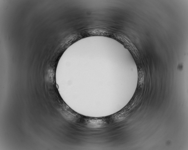 X0000097980669200804211039