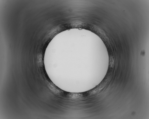 X0000097980670200804211039