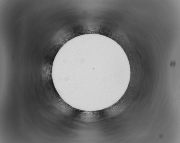 X0000097980672200804211039