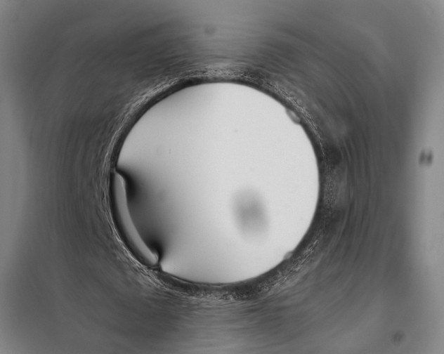 X0000097980673200804211038