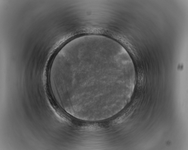 X0000097980674200804211038