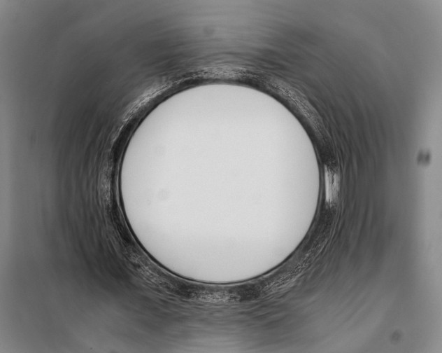 X0000097980675200804211038