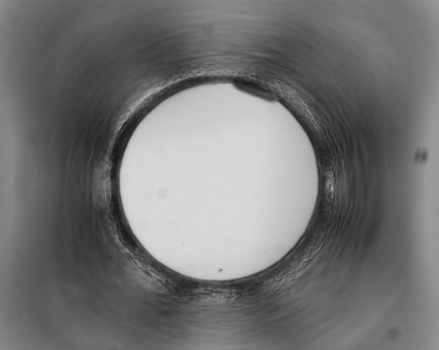 X0000097980676200804211038