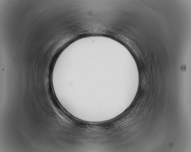 X0000097980677200804211038